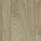 Vinylboden PVC Bodenbelag Kairo | Holzoptik Schiffsboden Eiche creme weiß | 400 und 500 cm Breite | Meterware | Variante: 2 x 5m
