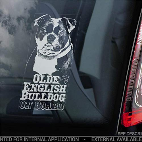 Autoaufkleber mit Olde English Bulldog on Board Old Bully Schild Stoßstange Aufkleber Auto Aufkleber Vinyl Aufkleber Fenster Aufkleber Stoßstange Aufkleber gestanzt Decals Geschenk