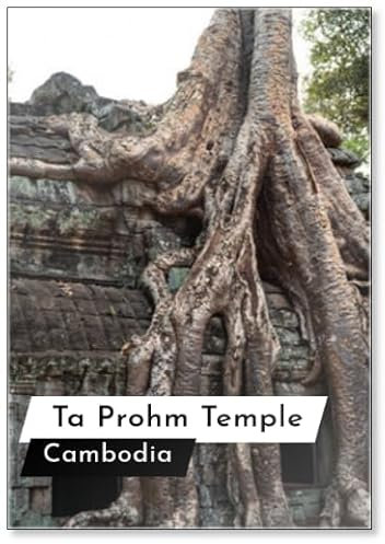 Ta Prohm Tomb Raider Temple in Angkor Complex Cambodia Design 1, Fridge Magnet