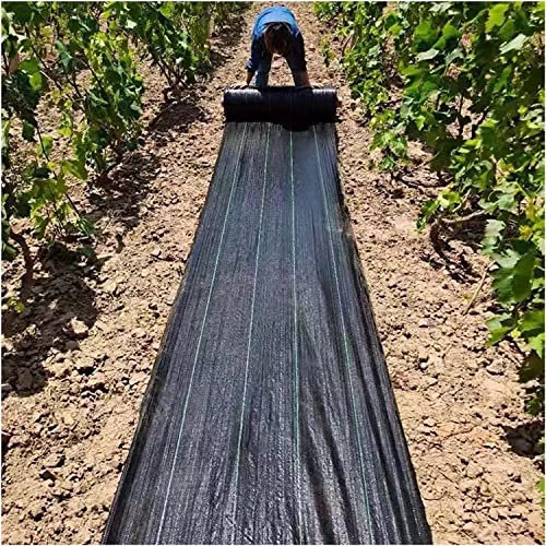 Bâche de protection en gravier robuste pour jardin potager et arbres, 1,2 m x 40 m