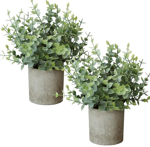 Roqueen 2 Piezas Pequeño Plantas Artificiales Eucalipto con Macetas, Plásticos Mini Plantas Falsas para Estante Escritorio Inicio Oficina Cuarto de Baño Granja Habitación Decoración (Verde)