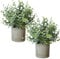 Roqueen 2 Piezas Pequeño Plantas Artificiales Eucalipto con Macetas, Plásticos Mini Plantas Falsas para Estante Escritorio Inicio Oficina Cuarto de Baño Granja Habitación Decoración (Verde)