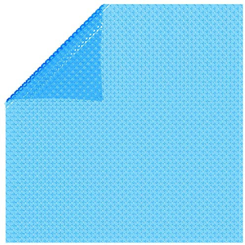 HOMTAKIE - Lona rectangular para piscina (260 x 160 cm, PE), color azul