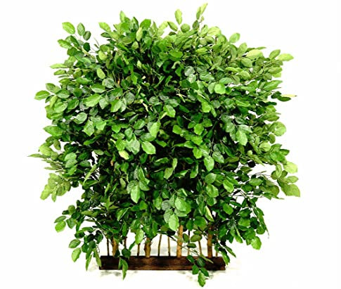 kunstpflanzen-discount.com Künstliche Buchenhecke als Sichtschutz mit Holzsockel ca. 160 x 110 x 160cm - Raumtrenner Sichtschutzhecke für den Innenbereich