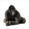 Bilderwelten Gorilla Fototapete Tiere inkl. Kleister 192x192cm - Vliestapete Made in Germany - Tiertapete Schlafzimmer - Fototapete Tiere - Wandtapete Wohnzimmer Flur T_1660