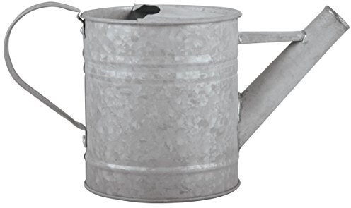 Esschert Design Altzink Gießkanne 0,8 Liter, 22,8x10,6x12,4 cm