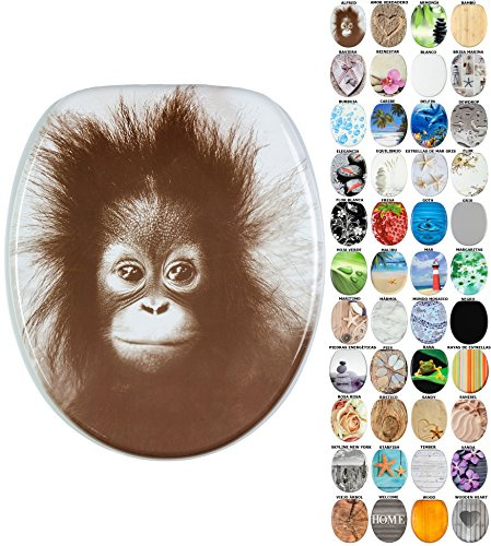 Sanilo Tapa de inodoro con cierre suave, gran selección de atractivos asientos para WC y duradera de madera (Alfred)