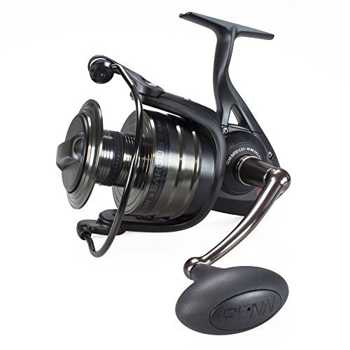 Penn Sargus II 8000 Spin Reel Box, schwarz, S