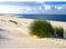 Runa Art Fototapete Strand und Meer Modern Vlies Wohnzimmer Schlafzimmer - Made in Germany - 308 x 220 cm Beige Blau Grün 9008010c