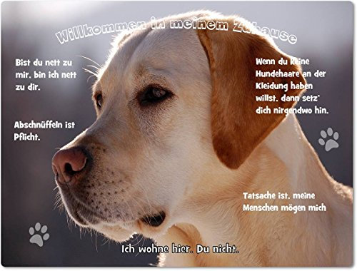 Merchandise for Fans Blechschild/Warnschild/Türschild - Aluminium - 30x20cm - - Willkommen in Meinem Zuhause - Motiv: Golden Retriever/Labrador Porträt- 06