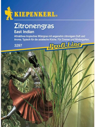 Zitronengras East Indian
