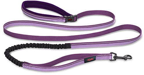 Laisse pour Sportifs HALTI - Laisse élastique Chien Mains-Libres avec Coutures Réfléchissantes & Amortisseur. Convient pour la Course & Marche avec Chiens de taille Moyenne & Grande (Taille L, Violet)