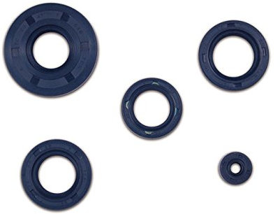 Wellendichtringe im Satz S51, S70, KR51/2, SR50, SR80 blau (4x Motor) TCK*