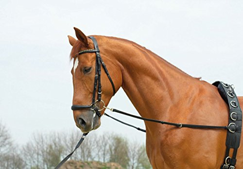 Ausbindezügel BASIC-STARR