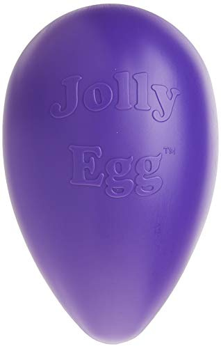 Jolly Pets Egg Dog Toy, 30 cm, Purple