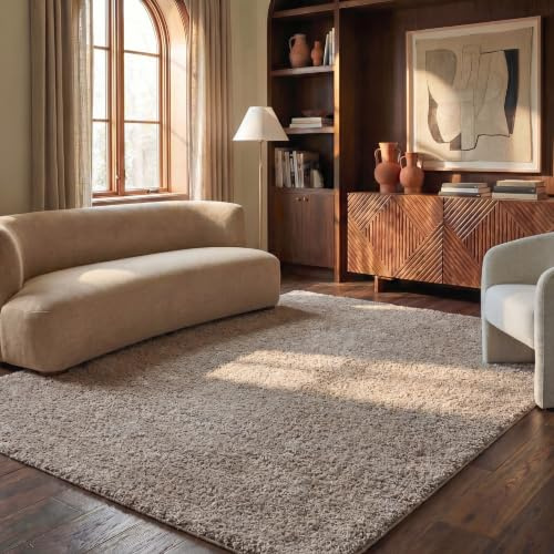 SAFAVIEH Area Rug 6x9 - Athens Shag Collection - Beige, Non-Shedding & Easy to Clean, Ideal for Living Room, Bedroom, Dining Space (SGA119G)