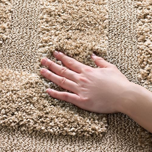 SAFAVIEH Florida Shag Collection Accent Rug - 3'3 x 5'3, Beige & Beige, Non-Shedding & Easy Care, 1.2-inch Thick Ideal for High Traffic Areas in Foyer, Living Room, Bedroom (SG454-1313)