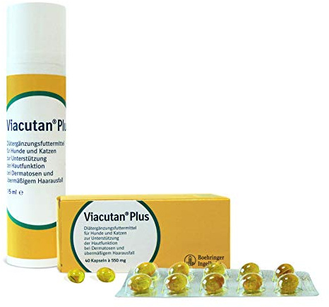 Boehringer - Viacutan Plus 550mg EFA 40 Kapseln, 1er Pack (1 x 0.05 kilograms)