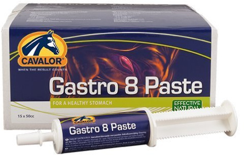 Cavalor Gastro Aid Paste 15 x 60 ml