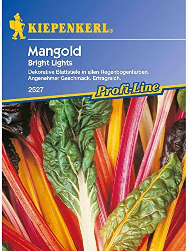 Mangold Bright Lights bunt