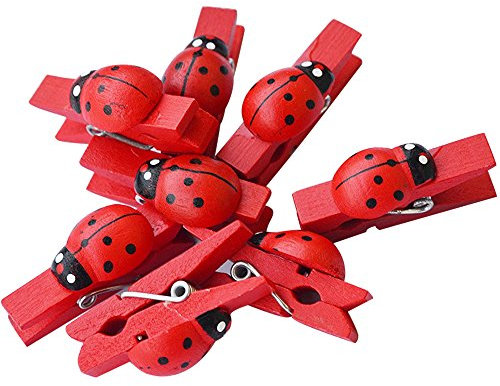 80pz mollette legno con coccinella decorative Segnaposto chiudipacco gadget