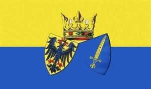 Buddel-Bini Flagge Fahne ca. 90x150 cm : Essen Stadtflagge