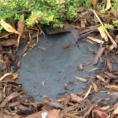 Schwarz Bodendecker 1,5 m x 100 m Rolle