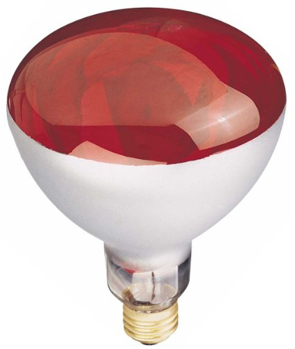 Globe Electric 03917 250-watt R40 Incandescent Heat Lamp Light Bulb, E26 Base, Red