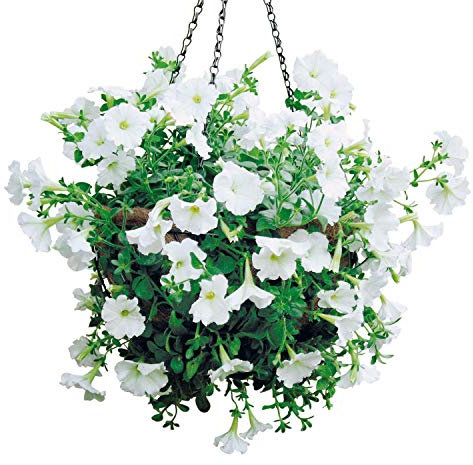 bellissa 3 Stück Hängeampel/Blumenampel – 97735/97736 – Blumentopf – zum bepflanzen außen & innen – groß – Hanging Basket inkl. Kokoseinsatz Ø35 cm