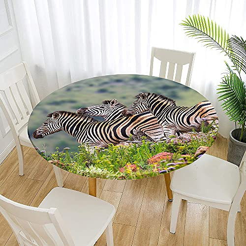 Morbuy Rund Tischdecke Elastisch, 3D Zebra Drucken Rund Tischdecken Wasserdicht Abwaschbar Abwischbar Tischtuch für Dekoration Küchentisch Outdoor Garten (120cm,Grünes Gras)