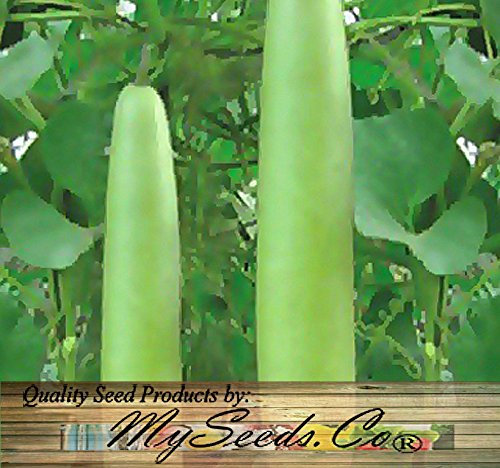 Seeds (15) Calabash lungo Squash/Semi di melone