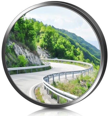 Specchietto panoramico da 30 cm, specchio di osservazione con angolo di visione di 220°, specchio stradale per uscite, specchio grandangolare, specchio convesso, uso esterno e interno, nero
