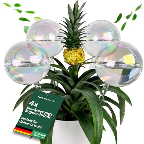 Netrox Bewässerungskugeln Pflanzen aus Glas - 4x400ml - wässert bis 14 Tage | automatische Pflanzenbewässerung für Pflanzen, Urlaub Bewässerung, Blumen & Garten – Bewässerungssystem Topf, Wasserspender