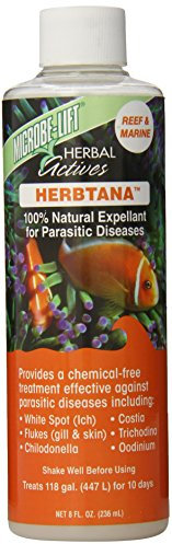 Herbtana Meerwasser - 236ml - Heilmittel auf Kräuterbasis für ein gesundes Aquarium !
