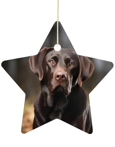 Weihnachtsschmuck Labrador Retriever Keramik Ornament Christbaumschmuck Krippe Stern Hängend für Weihnachtsbäume Hängende Porzellan Ornament für Weihnachtsdekoration