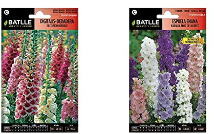 SEMILLAS BATLLE Digitalis-Dedadera Excelsior hibrido + Espuela ENANA Flor de Jacinto