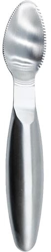 Stainless Steel Grapefruit Spoons with Serrated Edge