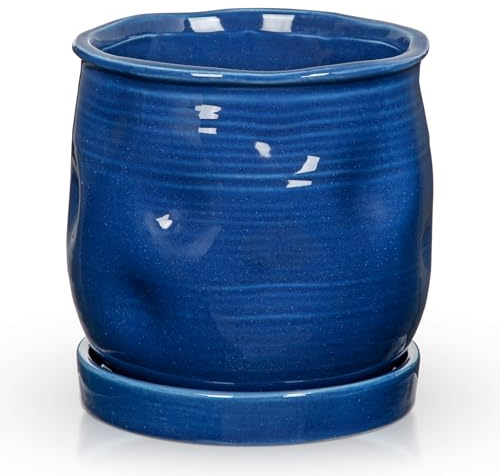 Oairse Pots de fleurs décoratifs en céramique pour plantes grasses, cactus, serpent, herbes aromatiques, pour intérieur et extérieur - Bleu - 14,5 cm