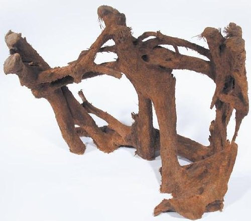 Mühlan Topartikel- 1 Mangrovenwurzel 30-40 cm, Wurzel, Mangrove