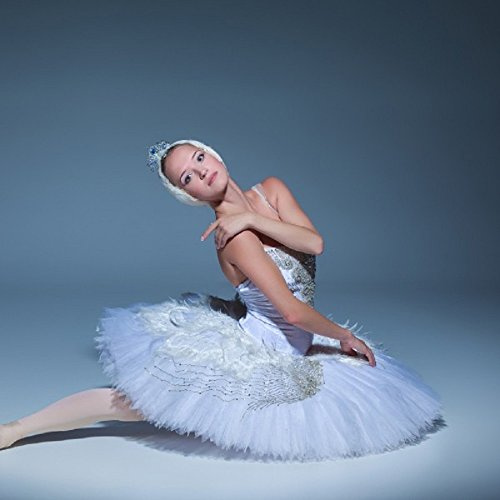 Greeting Card Card by Really Wild Card - Swan Lake - Final Adante