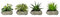 CREATIV green Sukkulenten künstlich 4 Stück in 12-15cm I Kunstpflanzen wie echt mit naturgetreuen Blättern I künstliche Sukkulenten mit Stein-Topf in 12x6cm I ideal als Badezimmer Deko