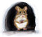 TOPINCN 5 Stück Mausloch-Wandt Reben Aufkleber, Wand 3D Maus Loch Wandbild Aufkleber Wandbild Dekorationen, Niedliche Maus Löcher Indoor Outdoor Dekoration 3D Haustiere Aufkleber DIY Home (Eins)
