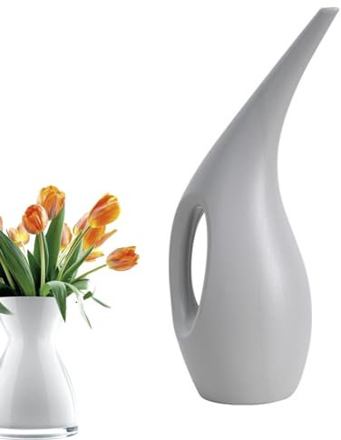 Regadera para plantas de interior, regadera de flores con caño largo regadera para plantas, jarras de agua con gran capacidad para regar y fertilizar plantas pequeñas y medianas