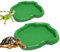 MaNeaz 2 Pièces Abreuvoir Tortue Terrestre Accessoire Tortue Terrestre Empreinte Reptiles Bol Alimentair Reptiles Bol Alimentation Pour Petits Reptiles Serpents Tortue Lézards（Vert）
