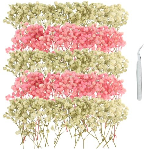 GZGXKJ 100 Schleierkraut Getrocknet Weiß Rosa Trockenblumen zum Basteln | Klein Getrocknete Blumen, Mit Pinzette Getrocknetes Schleierkraut, Für DIY Kunstharz Nagelkunst Kunsthandwerk