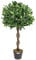 CHRISTOW Artificial Bay Tree In Pot, Large 3ft 4ft Tall Indoor Outdoor Garden Topiary Ball, Twisted Wooden Trunk, Realistic Lush Green Leaves, Home Office Restaurant (3ft, 1 pack)