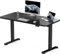 Flamaker Höhenverstellbarer Schreibtisch 120 x 60 cm, Schreibtisch Höhenverstellbar Elektrisch mit Memory Funktion, Computertisch mit Kabelmanagement, Standing Desk, Stehpult, Bürotisch, Schwarz