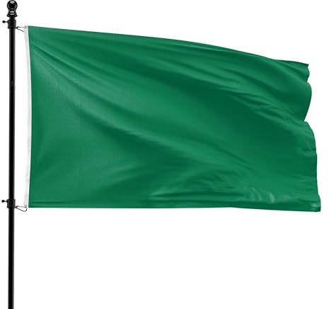 VlagDirect - Bandiera verde - Bandiera a tema verde - 90 x 150 cm.