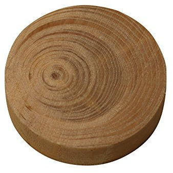 25 pezzi nodi di abete rosso 35x9 mm - tasselli prodotti in Austria