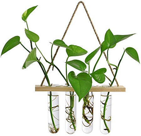 SLDHFE Maceta de vidrio para colgar en la pared, de vidrio, para terrario, tubo de ensayo, florero, en soporte de madera, para plantas, terrario con 4 tubos de ensayo para plantas hidropónicas